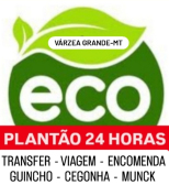 UM EMPRESA ECO TRANSFER
